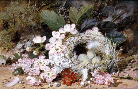 Still Life of Bird's Nest with Primulas van William Cruikshank
