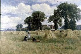Harvest Time, Dorney, near Windsor