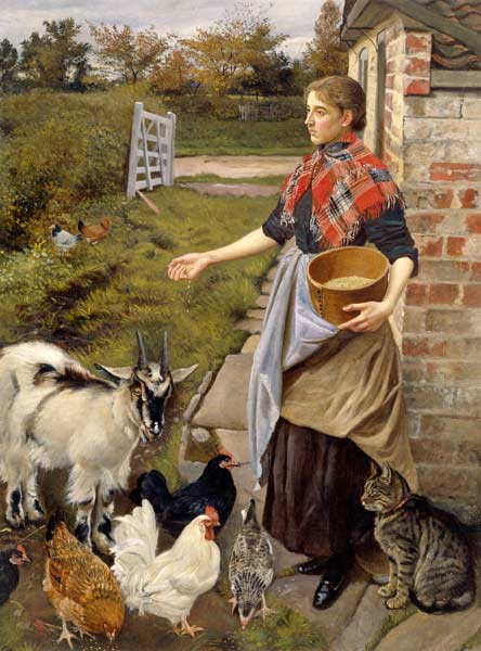 Feeding the Chickens van William Edward Millner