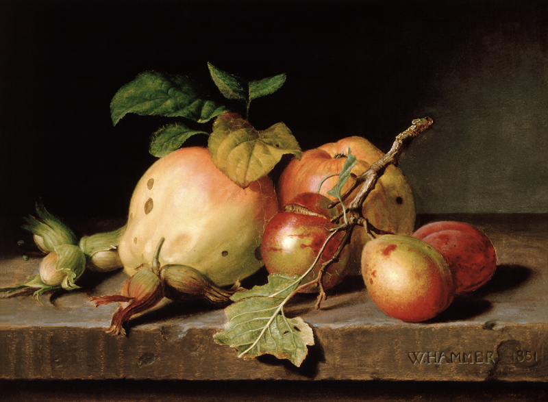 Fruitstilleven van William Hammer