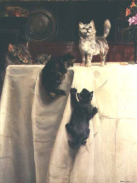 Cats van William Henry Hamilton Trood