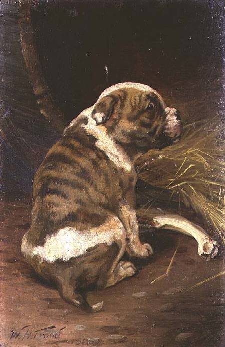 Give a Dog a Bone van William Henry Hamilton Trood