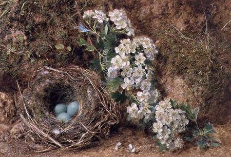 May Blossom and a Hedge Sparrow's Nest van William Henry Hunt