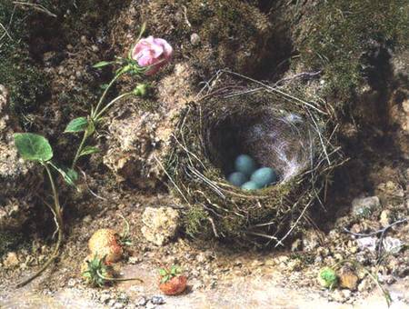Still life with bird's nest van William Henry Hunt