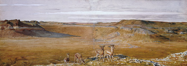 The Wilderness of Gizeh van William Holman Hunt