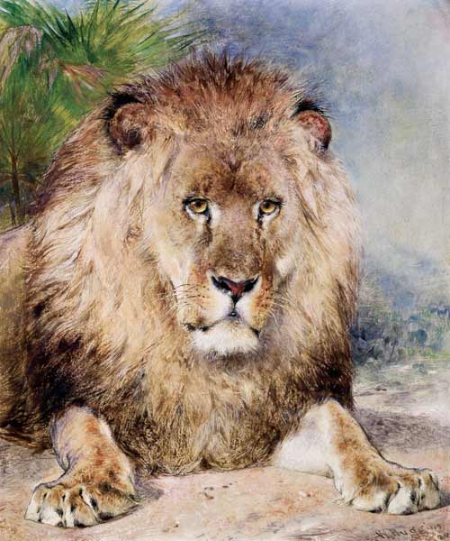 Lion van William Huggins