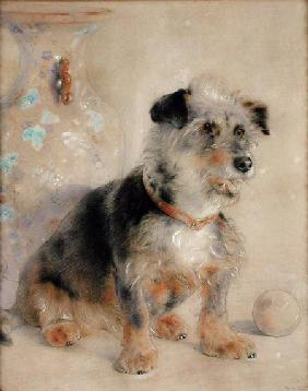 Terrier seated before a Canton Famille Rose Vase