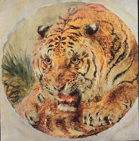 Tiger's Head van William Huggins