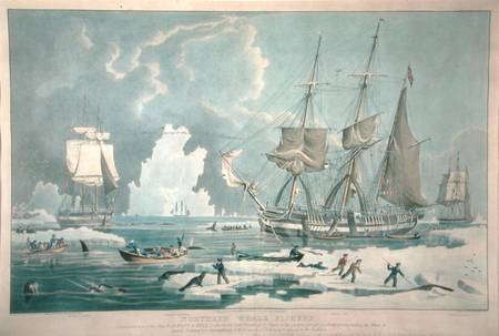 Northern Whale Fishery, engraved by E. Duncan van William John Huggins