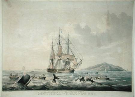 South Sea Whale Fishery, engraved by T. Sutherland van William John Huggins