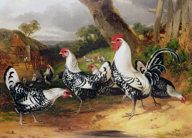 Cockerels in a Landscape van William Joseph Shayer