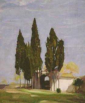 Cypresses, Palatine Hill, Rome, 1908