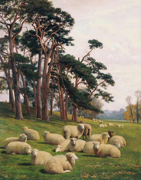 Sunlit Pastures van William Sidney Cooper