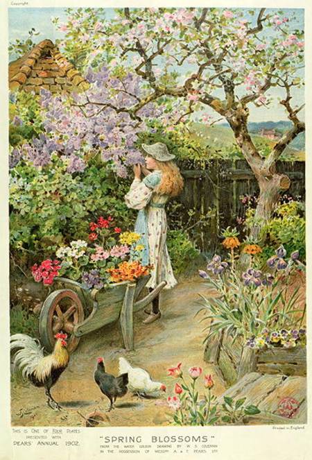 Spring Blossoms, from the Pears Annual van William Stephen Coleman