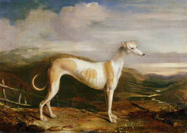 Greyhound van William u. Henry Barraud