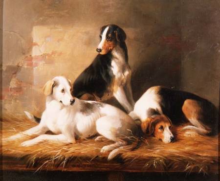 Three Hounds in a Stable van William u. Henry Barraud