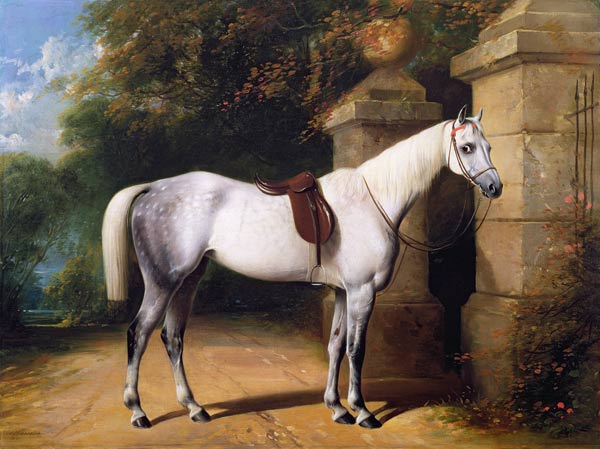 A Grey Horse by Park Gates van William u. Henry Barraud
