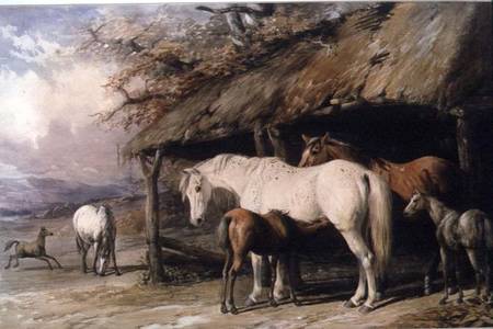 Mares and Foals van William u. Henry Barraud