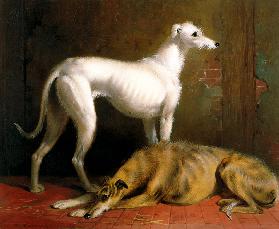 Deerhounds in an Interior