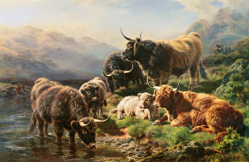 Highland Cattle van William Watson