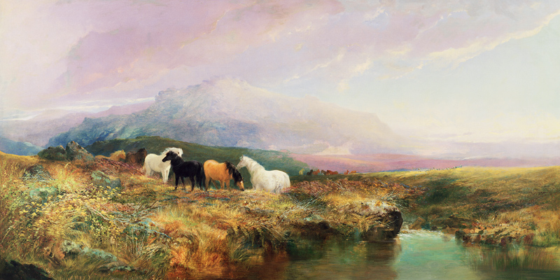 Ponies on Dartmoor van William Widgery
