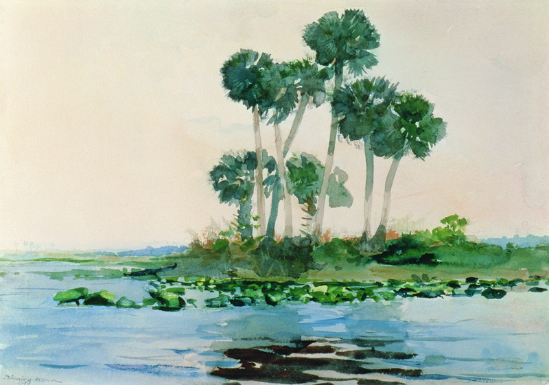 St. John's River Florida van Winslow Homer