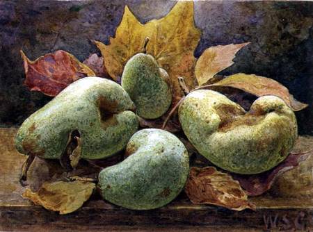 Odd and Even (Pears) van W.S. Goodwin