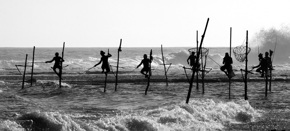 The Stick Fishermen van Yaniv Guy