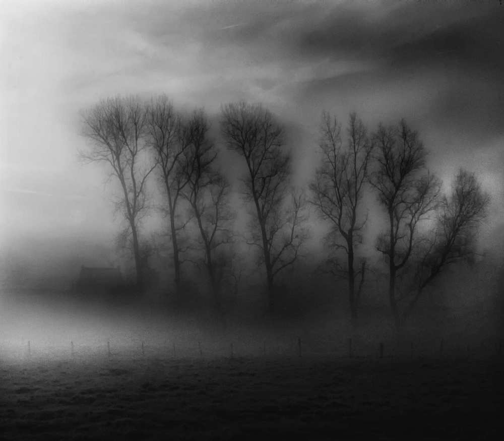 50 Shades of Fog van Yvette Depaepe
