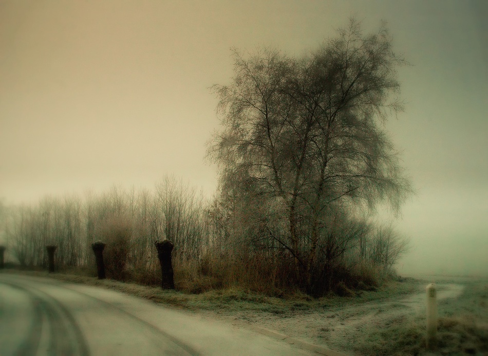 Nature\s silent wintertime van Yvette Depaepe