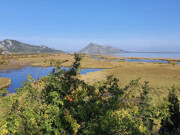 Blick auf den Nationalpark Skutarisee van zamart